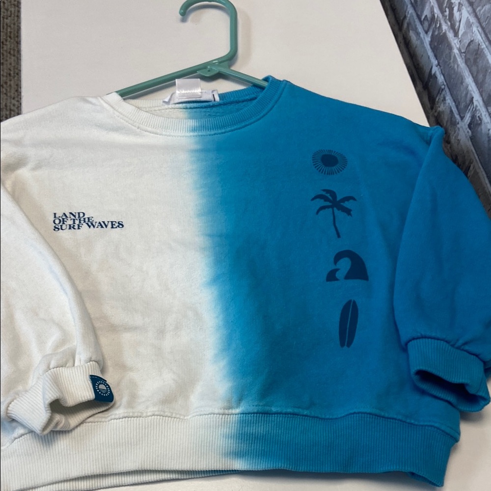 Zara Blue and White Graphic Sweatshirt - Picture 8 of 8